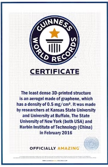 Guinness World Records certificate