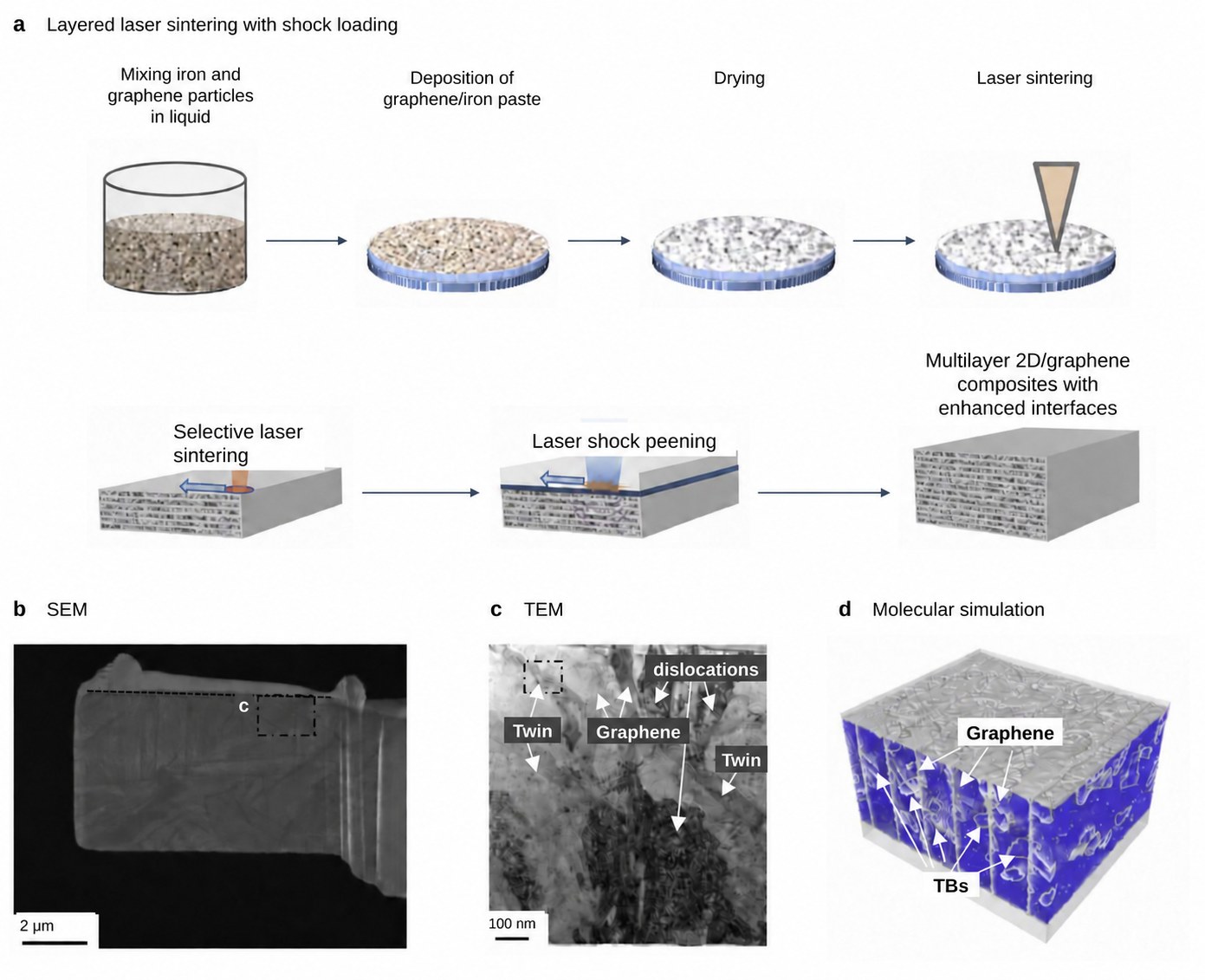 Layered laser sintering with shock loading: process schematic, SEM and TEM of nanotwins and graphene, and molecular simulation of multilayer metal–graphene composites